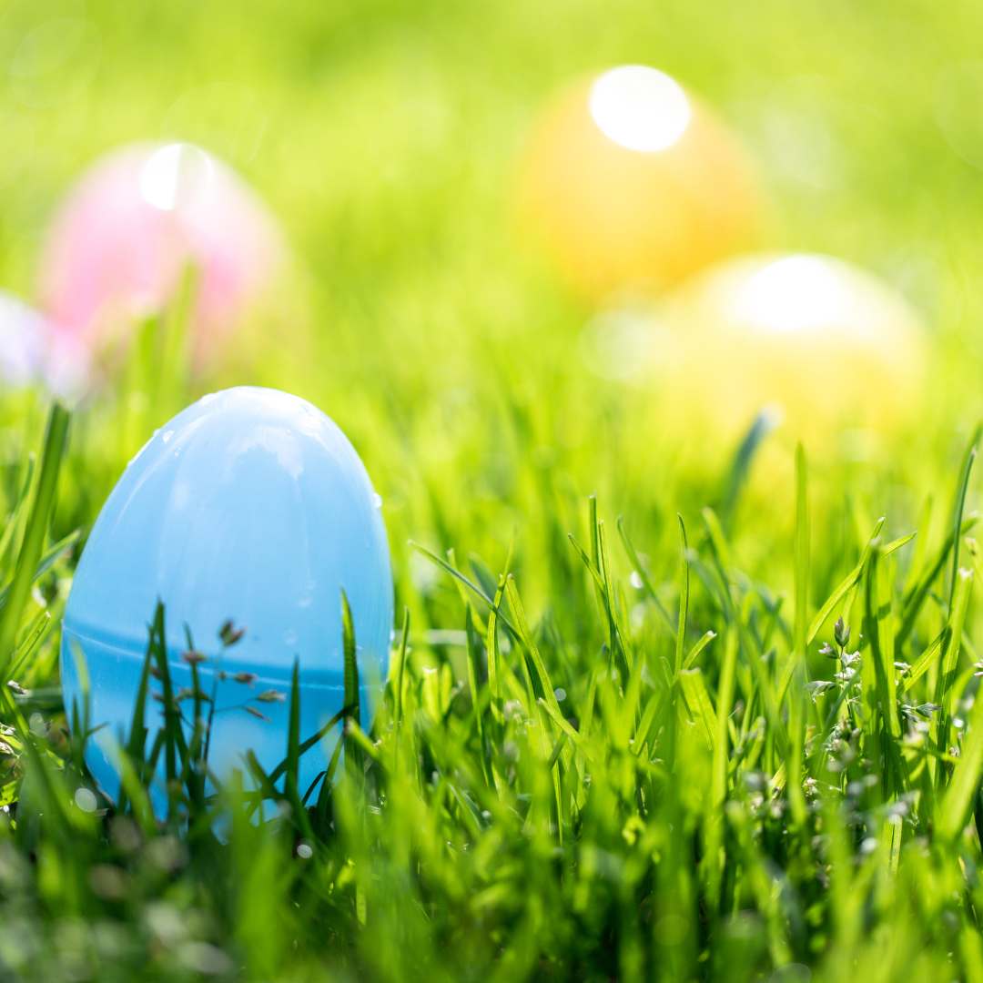 Easter eggs are hidden in the grass.